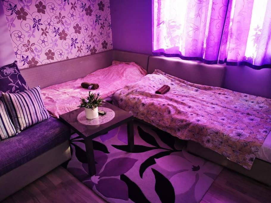 Apartment Lavender, Near To Airport ソフィア エクステリア 写真